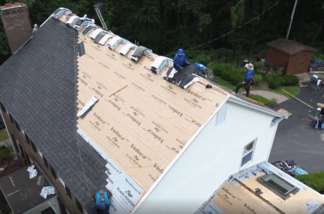 529958 screenshot 2024 08 14 1656501a1c